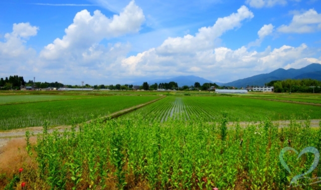 田園風景