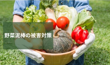 野菜泥棒被害対策