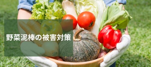 野菜泥棒被害対策