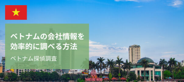 ベトナム企業調査